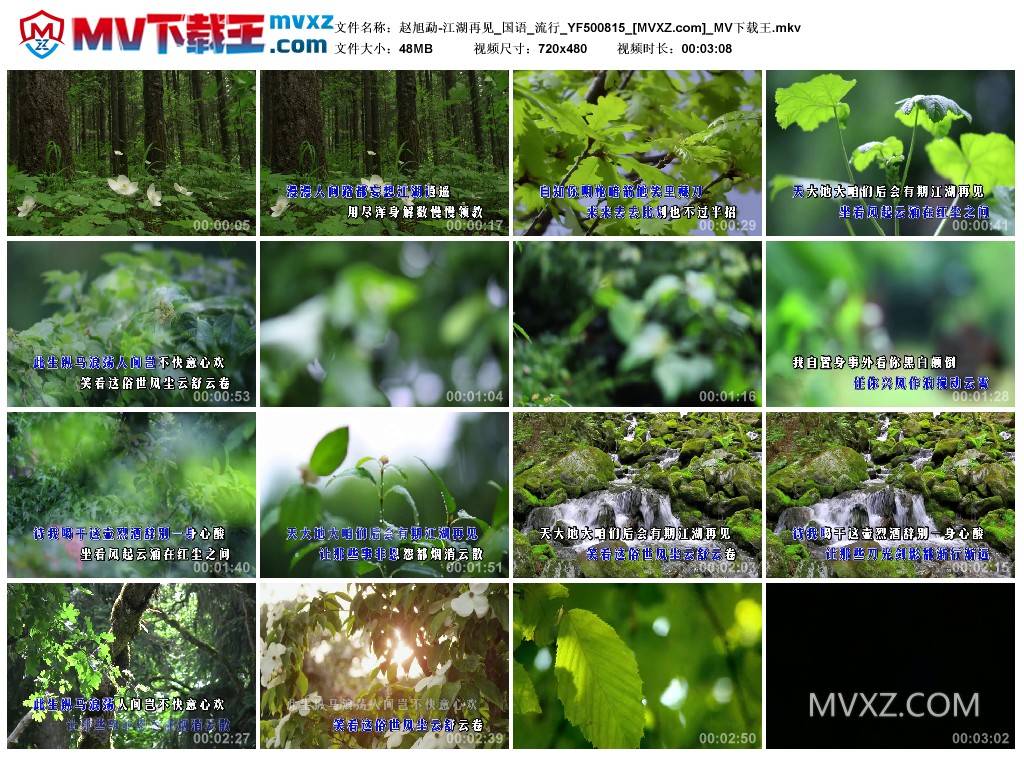 赵旭勐-江湖再见_国语_流行_YF500815